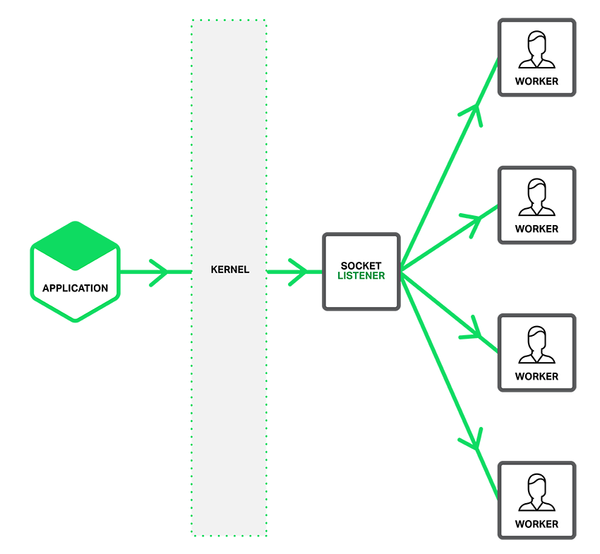 nginx socket