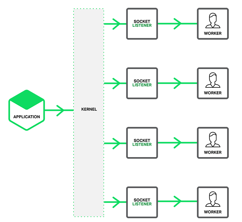 nginx socket