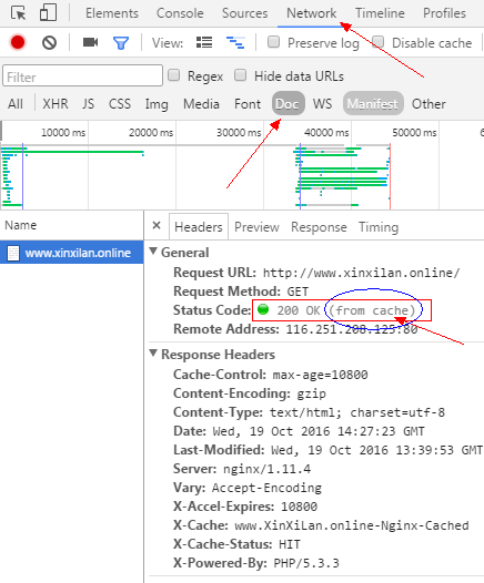 nginx